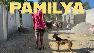 PAMILYA by Supero Dog Farm 1,136 views 2 weeks ago 5 minutes, 49 seconds