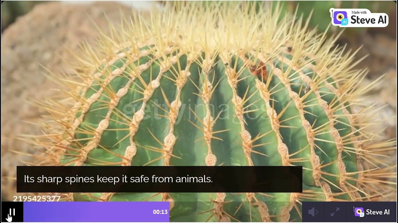 Fun Facts About Cactus 🌵 Amazing Plant Secrets