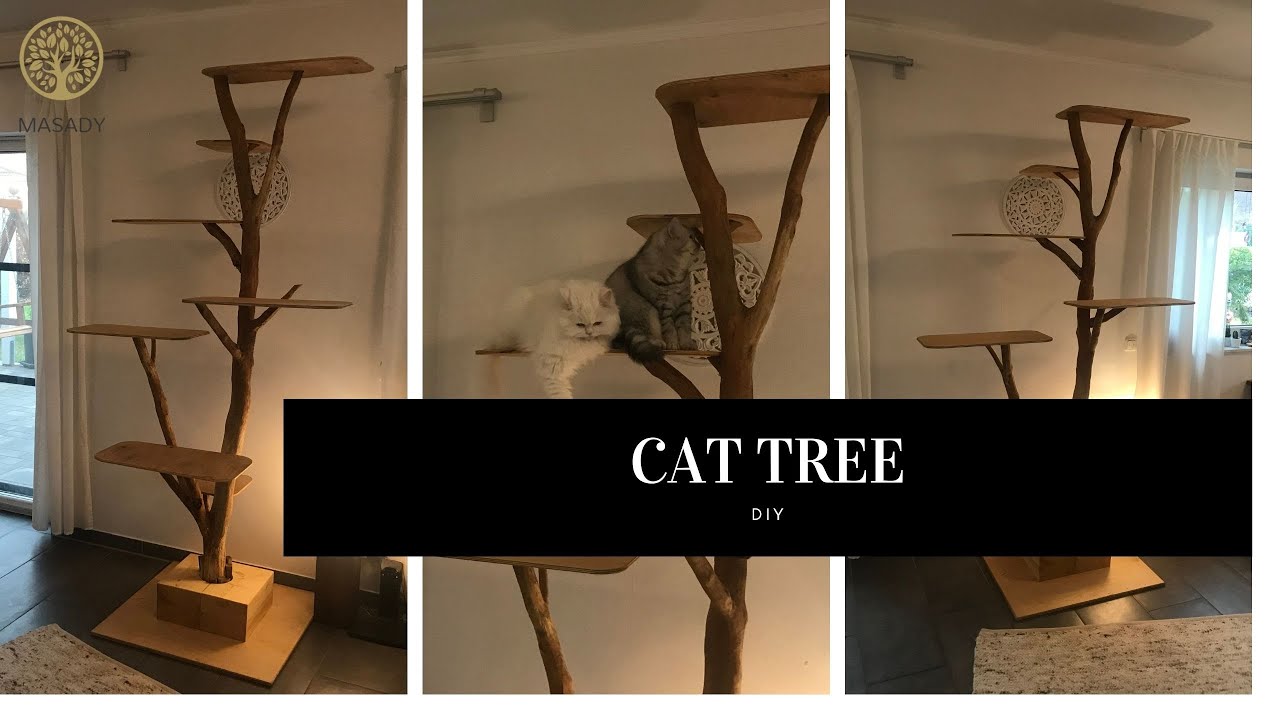 Katzenbaum Kratzbaum aus Massivholz DIY cat tree solid natural wood / tree trunk