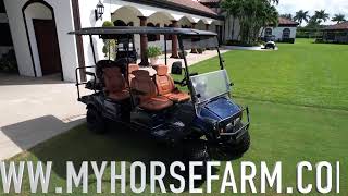 Pilot Golf Cart