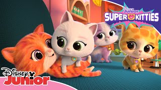Se Søte Klipp Fra Den Nye Serien Superkattungene Disney Junior Norge