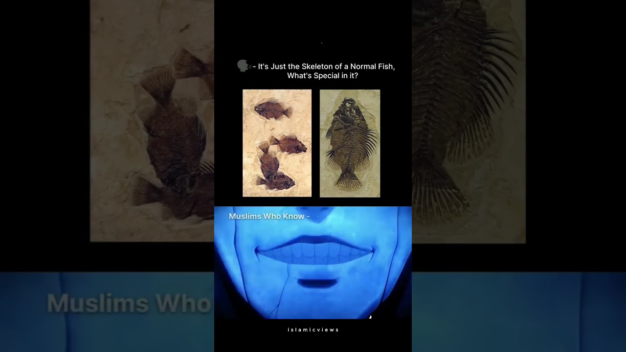 The Story of Prophet Noah (Nuh) in Islam: Lessons from the Great Flood 