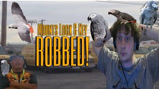 Watch me complain about my job as I freestyle on Rocket League