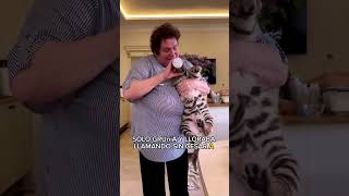 A Mans Dog Found A Helpless Tiger Cub.