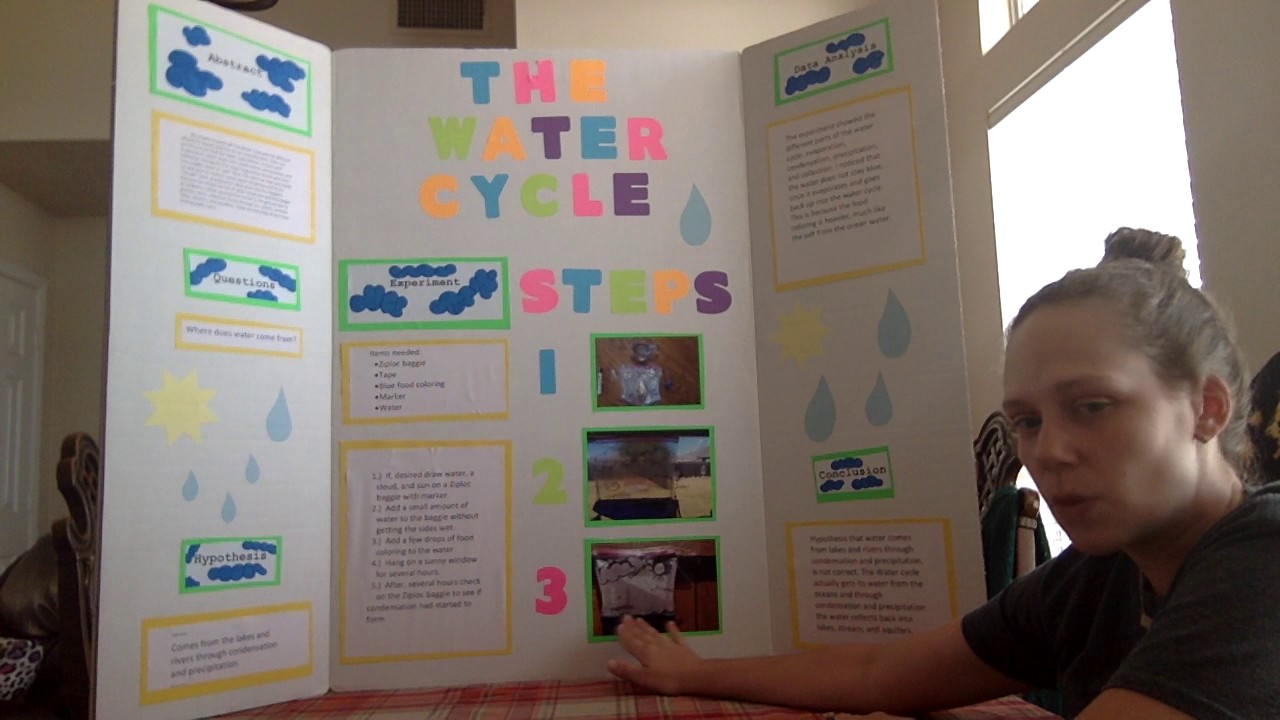 Water Cycle Science Fair Project