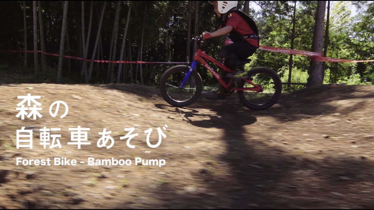 Forest Bike Forest Bike
