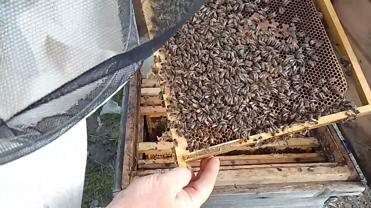 24 февраля 2026 г.