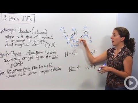 Intermolecular Forces