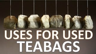 Unbelievable Uses For Used Tea bags