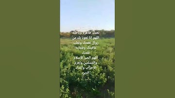 الحمد لله 🌿 #explore #تابعونا_يصلكم_كل_جديد #اكسبلور #عبدالرحمن_مسعد #لايك #قران#تلاوات  #لايك #آية