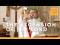 Mass for you at home with fr mark de battista  the ascension of the lord yr b