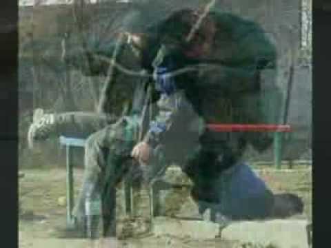 Galeria śmiesznych II piotrek remolques