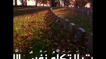 فمنهم شقي وسعيد || تلاوة خاشعة| إدريس أبكر| سورة هود