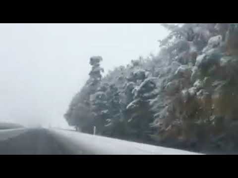 Thumbnail for Snowy road