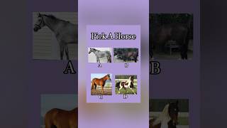 What Type Of Horse Girly Are You? #horse #equestrian #quiz