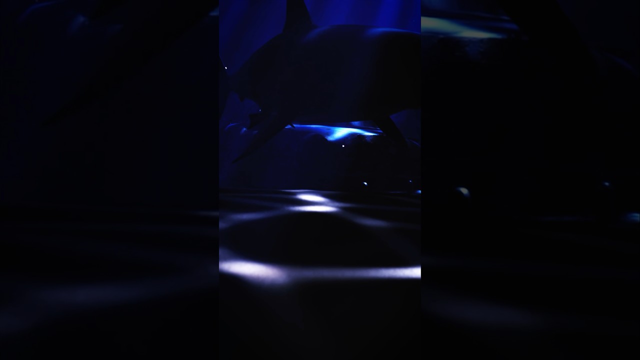 I Create a Under Water Sence in Blender 🦈🦈..#blender3d #blenderanimation #underwater#aftereffects