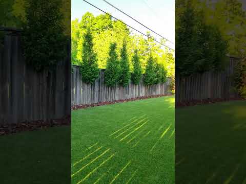 114 Taggart Ave, Nashville, TN home video tour