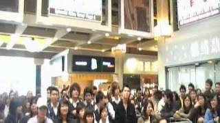 TorontoTV 多倫多網上電視 楊千樺在多倫多 20080519