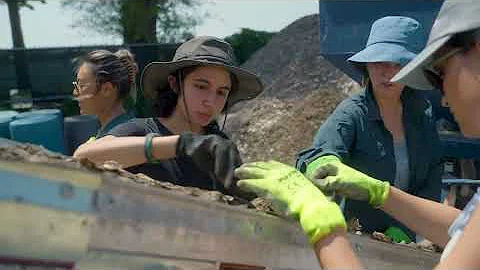 Reconnect to New York Harbor with Billion Oyster Project