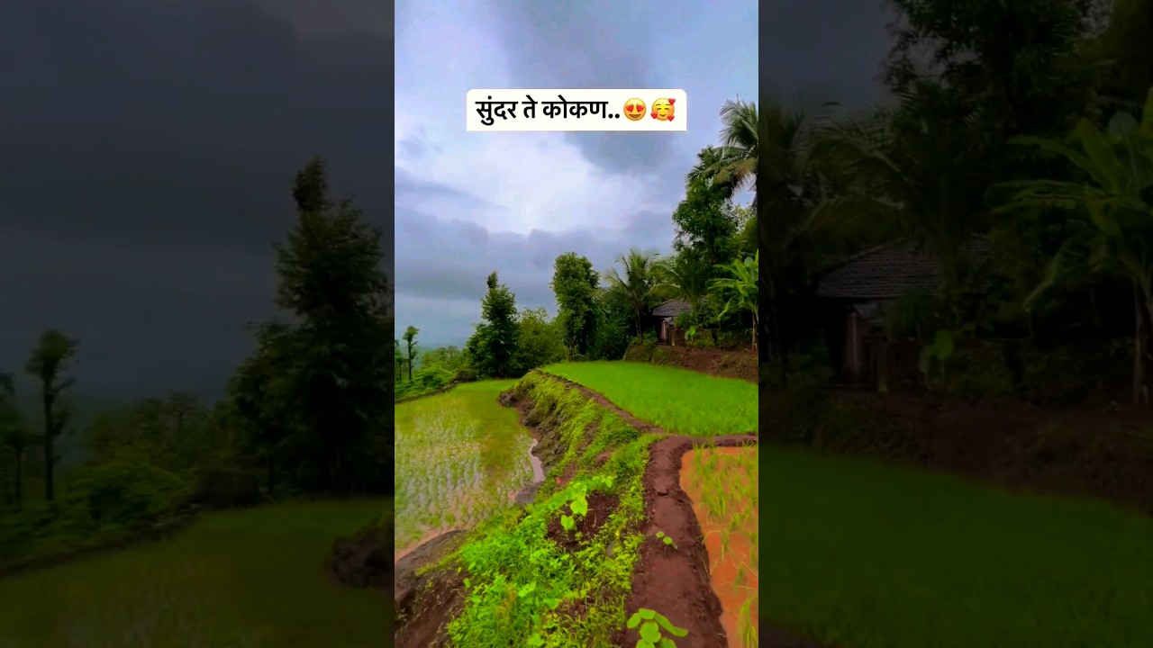 kokan Nisarg🌿🌴 🌾...