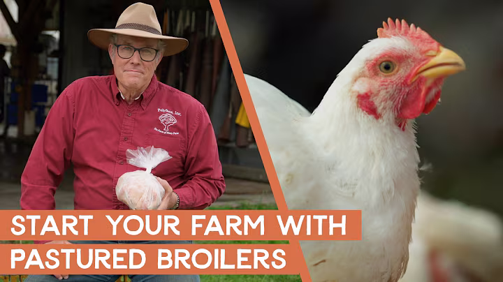 Why the pastured broiler is a great way to start out your farm | Joel Salatin