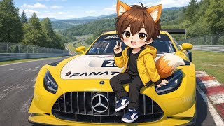 iRacing Mercedes AMG GT3 at Nurburgring Combined 24 hour layout Hotlap