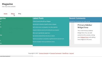 WordPress Widgets on Menu Add on Settings