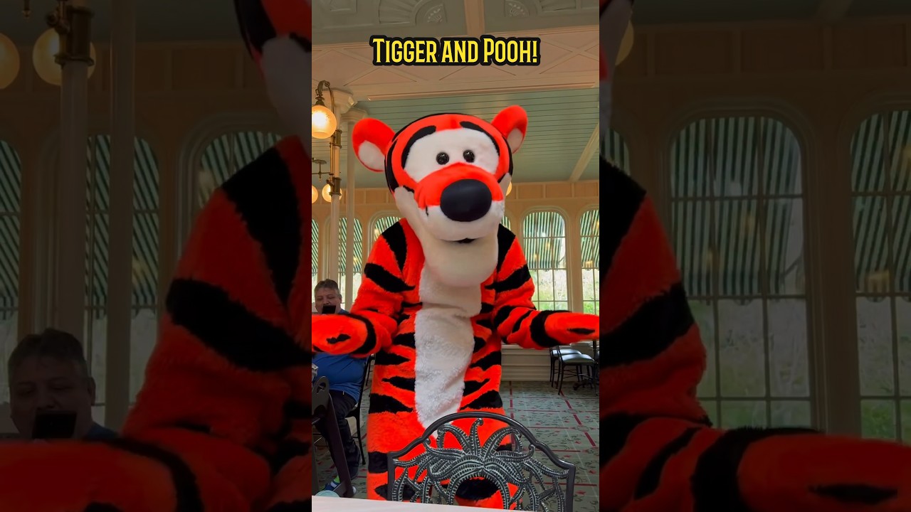 Best! Tigger and Winnie the Pooh! Meet and Greet! Disney World!