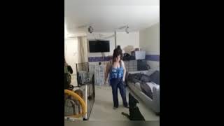 Dog Training  the Heel Cue