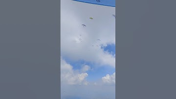 PWC Çameli 2024 - Task 2