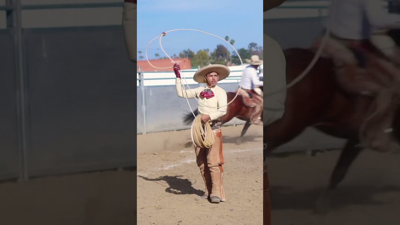 Trick Roping 💥👊🏻 #ecproduction #elclasicoproduction #cowboy #mexico