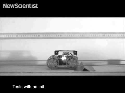 science jobs london Robotic rover uses tail to land like a lizard