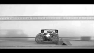 Robotic Rover Uses Tail To Land Like A Lizard