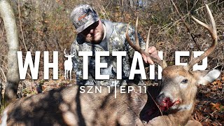 Whitetailer Szn 1 | Ep 11 - Late November Cruiser by Buckeye Bowhunter 776 views 4 months ago 24 minutes