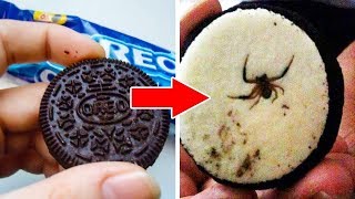 8 अजीब चीज़े आपके पसंदीदा खाने में मिली | 8 Surprising Things Found In Your Favourite Foods