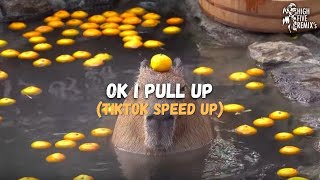 Ok I Pull Up - Capybara Meme (Speed Up TikTok)