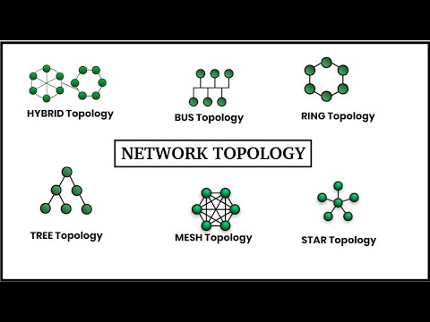 Network Topology: Arrangement of the Computers of a Network in Bengali ...