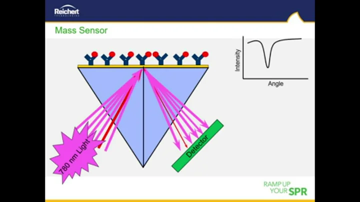 Combining Reichert's SPR Systems With Other Inform...
