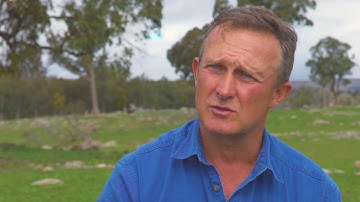 Improving temperate cattle and prime lamb productivity using genetic selection – Andrew Carruthers