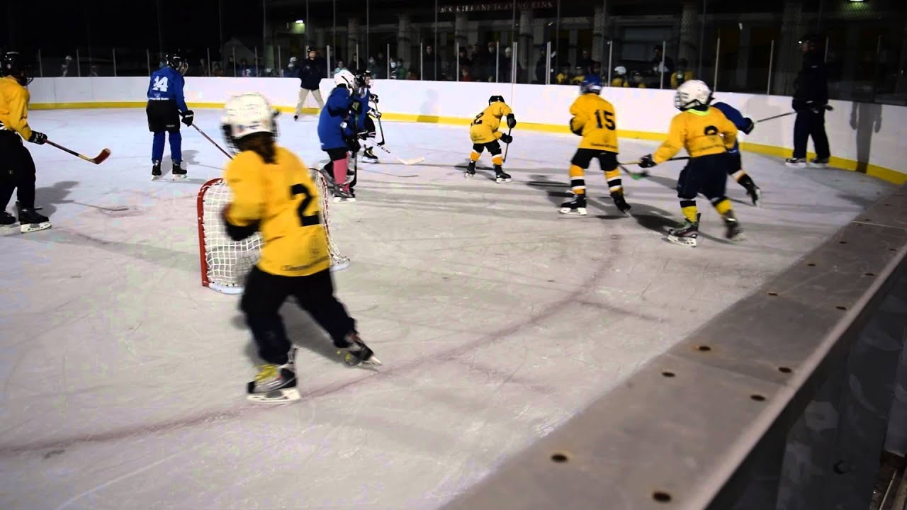 2016 Brookline Youth Hockey House League Cup Gold vs. Blue (Finals