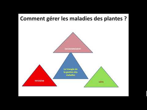 Vidéo: Gestion des nématodes des lésions racinaires - Apprenez à prévenir les nématodes des lésions