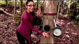 Camping Tips | Design Squad