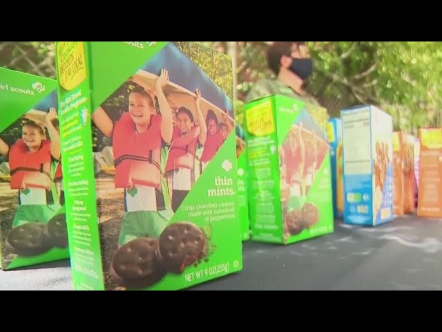 Nyc Girl Scout Cookie Season Returns With Higher Prices