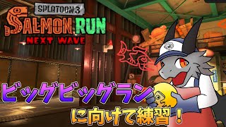 【splatoon 3】ビッグビッグランに向けて練習！【スプラトゥーン 3】【ドラゴンVtuber】