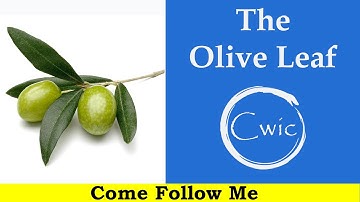 Come Follow Me LDS - Doctrine and Covenants 88