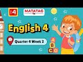Understanding the Video Tutorial