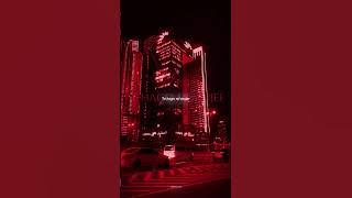 gata only (remix) - cris, MJ floyymenor aesthetic lyrics #music #aestheic #lyrics #trending #shorts