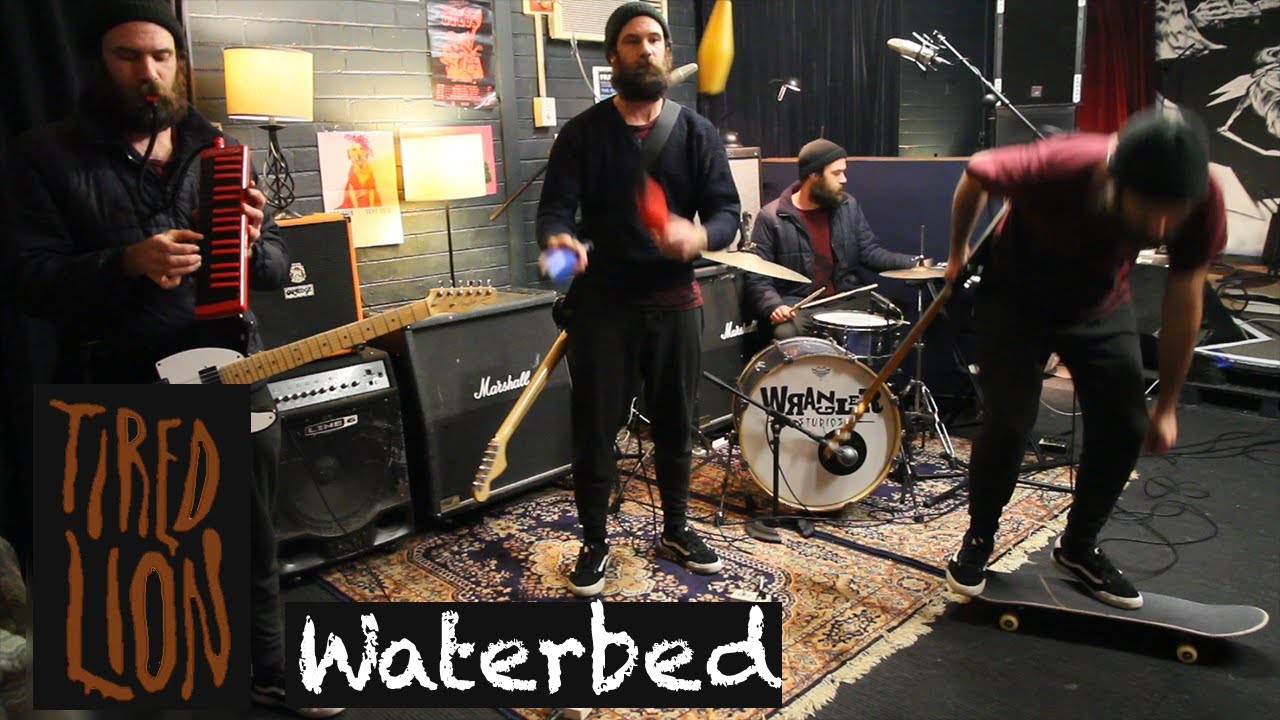 Tired Lion Waterbed (All Deano cover) YouTube