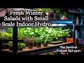 Fresh Winter Salads with Small Scale Indoor Hydro - Episode-3402