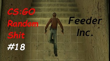 CS:GO - Random Shit #18 Best Teamkill Ever